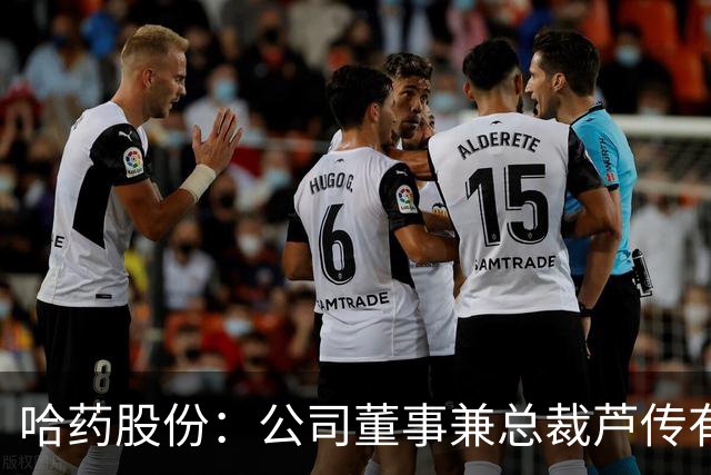哈药股份：公司董事兼总裁芦传有被立案、实施留置